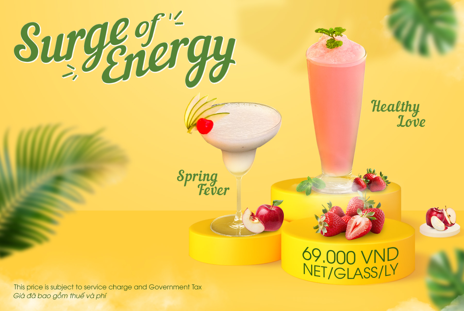 "Surge of Energy" Offer - Healthy Smoothies